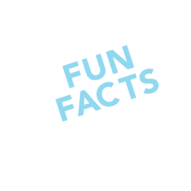 Berdy_FunFacts-01